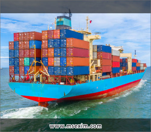 M.S. Exim Services Custom House Agents in Ludhiana Punjab India